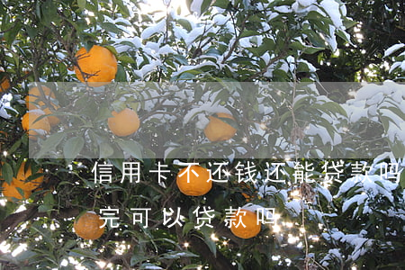 信用卡不还钱还能贷款吗(信用卡还有钱没还完可以贷款吗)