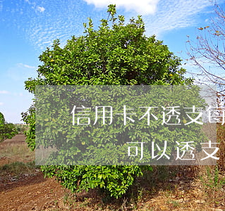 信用卡不透支每月用不用還(為什么信用卡沒錢還可以透支)