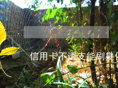 信用卡不透支能刷幾個