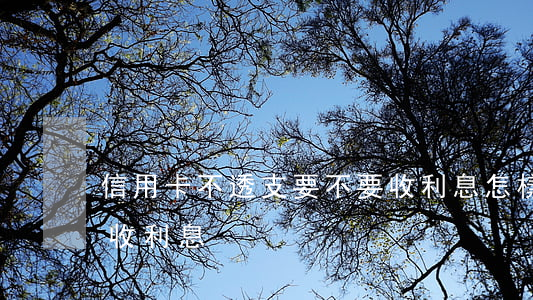 信用卡不透支要不要收利息(怎樣還信用卡不收利息)