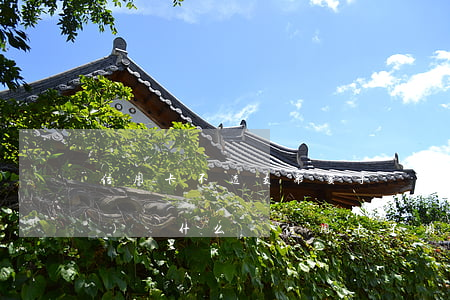 信用卡不透支需要手續(xù)費(fèi)嗎(什么還信用卡不用手續(xù)費(fèi))