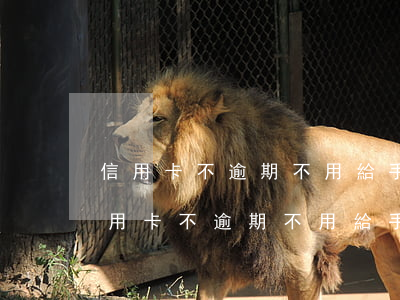 信用卡不逾期不用給手續(xù)費吧-信用卡不逾期不用給手續(xù)費吧