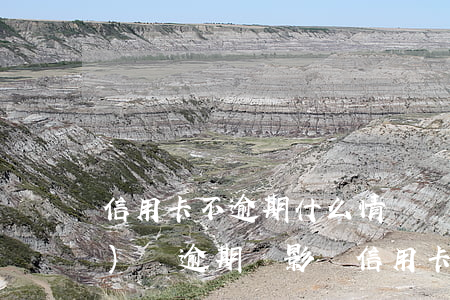 信用卡不逾期什么情況會封卡(網(wǎng)貸逾期會影響信用卡封卡嗎)
