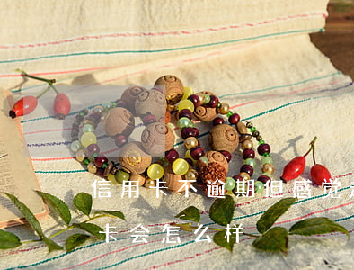 信用卡不逾期但感觉越还越多-逾期还信用卡会怎么样