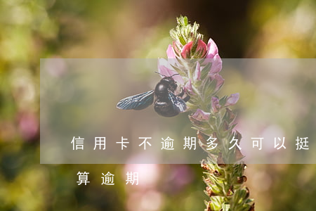 信用卡不逾期多久可以挺帳(還信用卡過幾天算逾期)