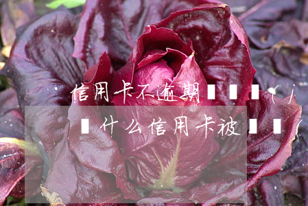 信用卡不逾期會凍結(jié)嗎 沒有逾期為什么信用卡被凍結(jié)