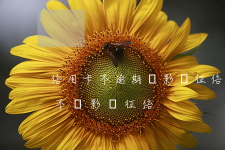 信用卡不逾期會影響征信嗎(是不是不逾期就不會影響征信)
