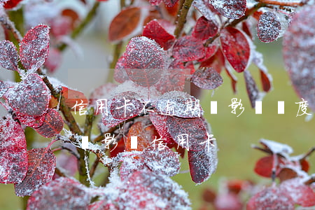 信用卡不逾期會影響額度嗎-其他逾期會不會影響信用卡