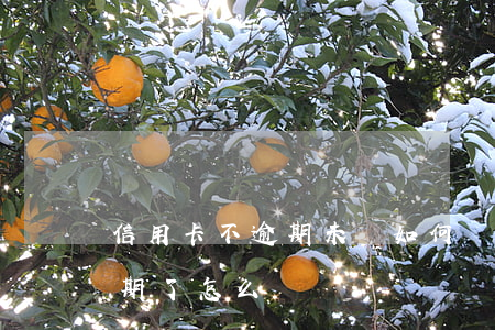 信用卡不逾期未還如何處罰(沒錢還信用卡逾期了怎么辦)