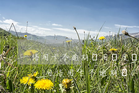 信用卡不逾期沒用額度會(huì)下降嗎-用信用卡不逾期會(huì)影響征信嗎