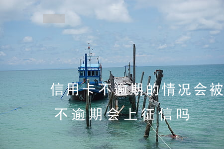 信用卡不逾期的情况会被将额吗-用信用卡不逾期会上征信吗