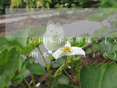 信用卡不逾期能協(xié)商嗎(信用卡逾期不給協(xié)商只能等起訴嗎)