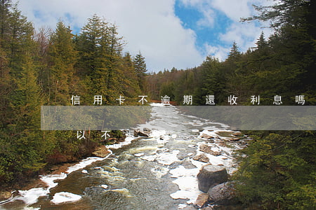 信用卡不逾期還收利息嗎(信用卡逾期利息可以不還嗎)