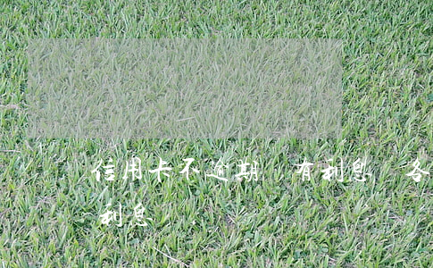 信用卡不逾期還有利息嗎(各銀行信用卡逾期利息)
