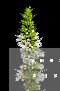 信用卡不還一定會(huì)被起訴嗎(如果欠很多信用卡不還被起訴會(huì)不會(huì)坐牢)