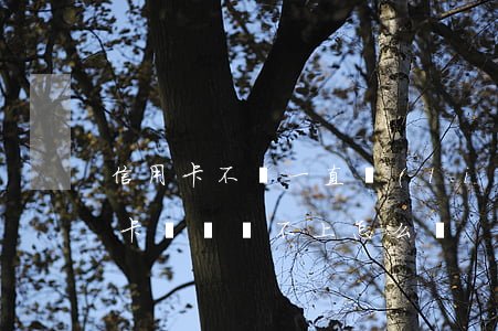 信用卡不還一直聯(lián)系不上(信用卡確實還不上怎么辦)