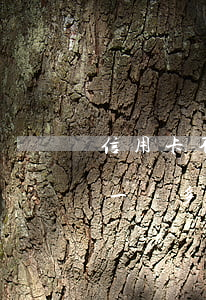 信用卡不還一萬會(huì)坐牢嗎(信用卡一萬多沒還會(huì)不會(huì)抓去坐牢)