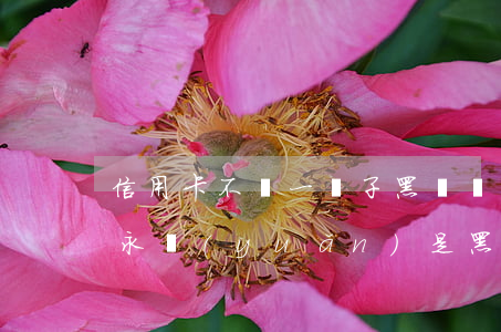 信用卡不還一輩子黑戶嗎(信用卡成為黑戶了永遠(yuǎn)是黑戶嗎)