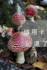 信用卡不還上個(gè)人征信嗎(信用卡忘記還了會(huì)不會(huì)影響征信)
