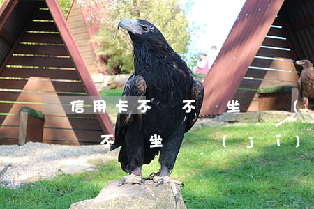 信用卡不還不讓坐飛機(jī)嗎(信用卡不還不讓坐飛機(jī)嗎)
