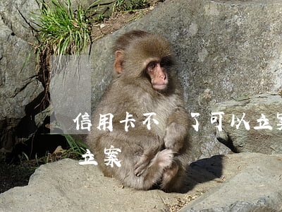 信用卡不還了可以立案嗎(信用卡不還了可以立案嗎)