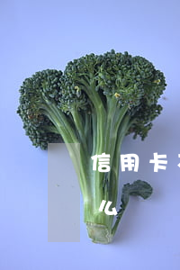 信用卡不還了怎么辦房貸(信用卡還不了款怎么辦)