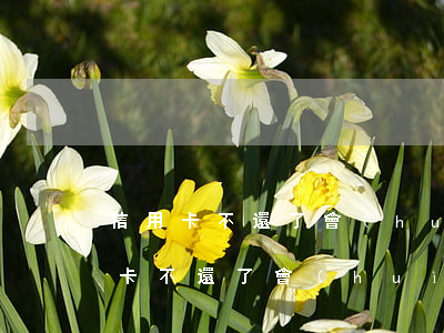信用卡不還了會(huì)有什么后果(信用卡不還了會(huì)有什么后果 幾千塊)