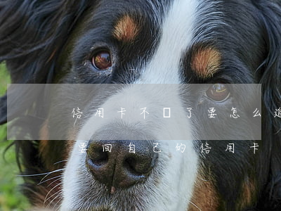 信用卡不還了要怎么追回來(lái)(如何要回自己的信用卡)