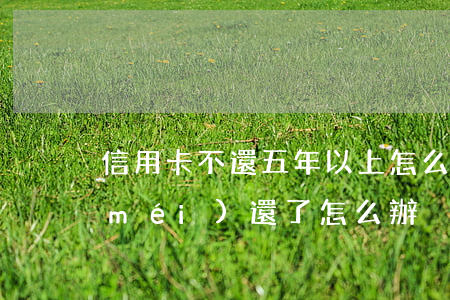 信用卡不還五年以上怎么辦(信用卡4年沒(méi)還了怎么辦)