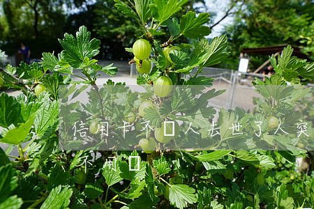 信用卡不還人去世了(人突然離世信用卡還用不用還)