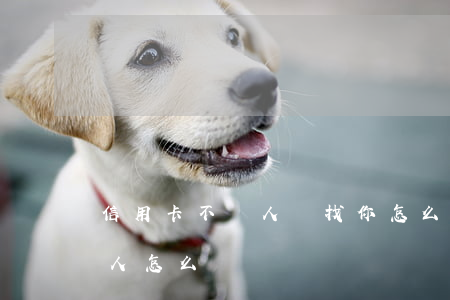 信用卡不還人員找你怎么辦(欠信用卡找不到人怎么辦)
