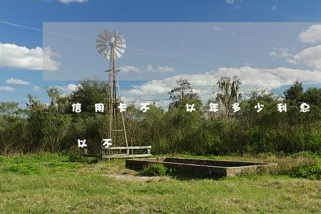 信用卡不還以年多少利息(信用卡年卡費用可以不還嗎)