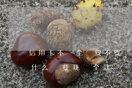 信用卡不還全額要不要緊(信用卡還了最低為什么還要我還全款)