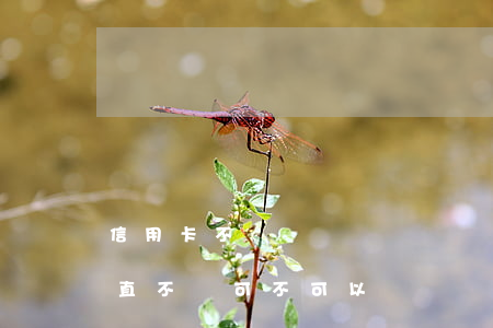 信用卡不還凍結還會開嗎(信用卡朋友在用一直不還可不可以凍結)