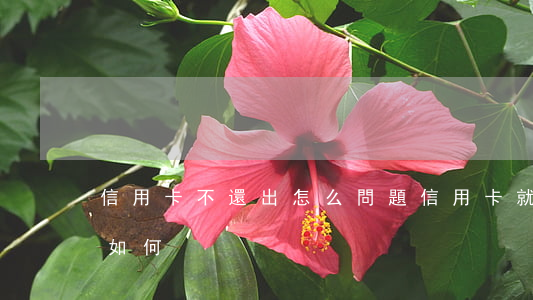 信用卡不還出怎么問題(信用卡就是不還 后果如何)