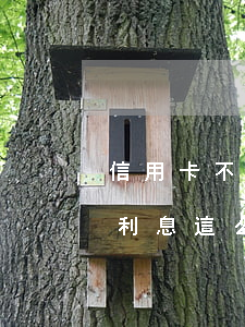 信用卡不還利息最高到多少(為什么信用卡的利息這么高還合法)