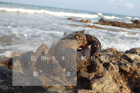 信用卡不還利息跟滯納金嗎(信用卡不還利息跟滯納金嗎)
