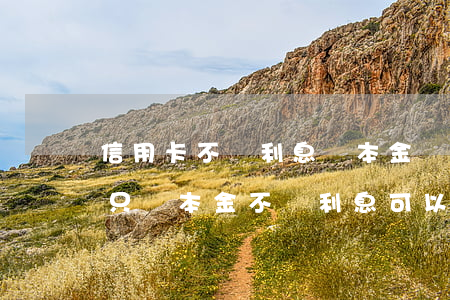 信用卡不還利息還本金嗎(信用卡欠款很久了只還本金不還利息可以嗎)