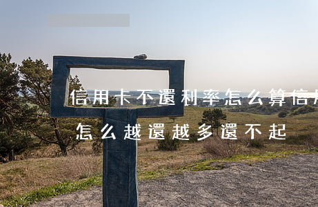信用卡不還利率怎么算(信用卡利息怎么算的怎么越還越多還不起)