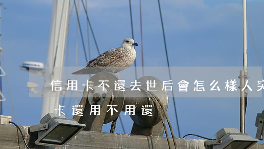 信用卡不還去世后會怎么樣(人突然離世信用卡還用不用還)