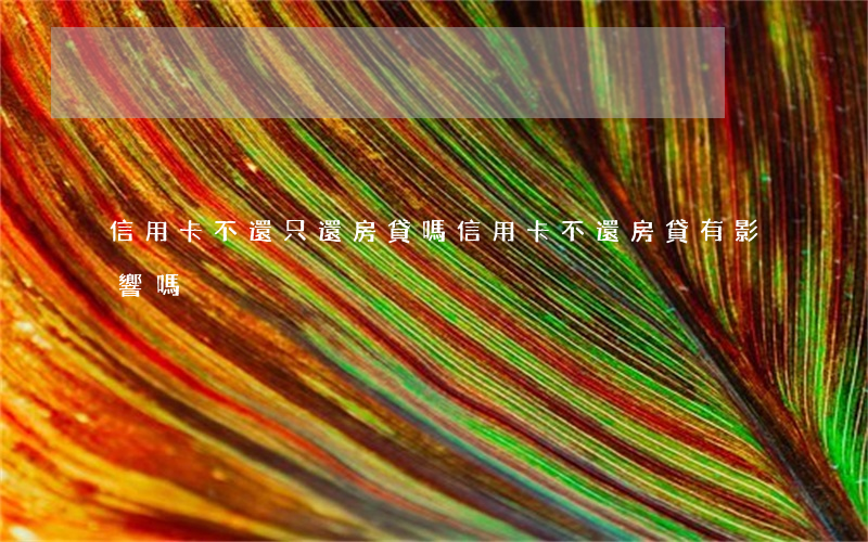 信用卡不還只還房貸嗎(信用卡不還房貸有影響嗎)