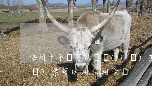 信用卡不還可以買機(jī)票么(買機(jī)票可以用信用卡嗎)