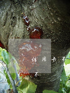 信用卡不還司法會(huì)找你嗎(信用卡不還進(jìn)入司法程序會(huì)怎么樣)
