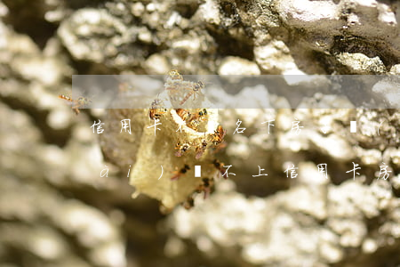 信用卡不還名下房子會(huì)拍賣(mài)(還不上信用卡房子會(huì)被拍賣(mài)么)