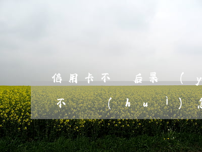 信用卡不還后果嚴(yán)重嗎(用信用卡不還會(huì)怎么樣)