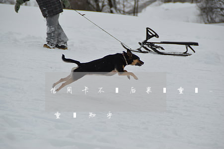 信用卡不還后果嚴重嗎-信用卡不還后果嚴重嗎知乎