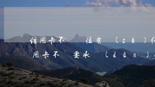 信用卡不還單位有責(zé)任嗎(用別人信用卡不還要承擔(dān)什么責(zé)任)