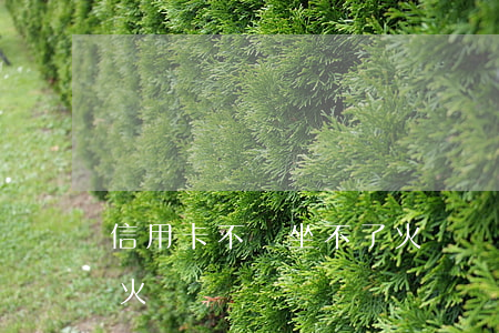 信用卡不還坐不了火車嗎(信用卡不還坐不了火車嗎)
