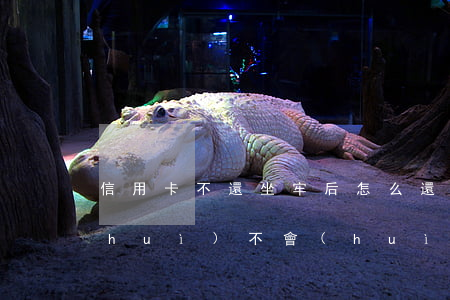 信用卡不還坐牢后怎么還(信用卡不還錢會(huì)不會(huì)坐牢)