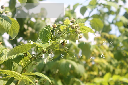 信用卡不還報(bào)警了怎么處理(信用卡 報(bào)警)
